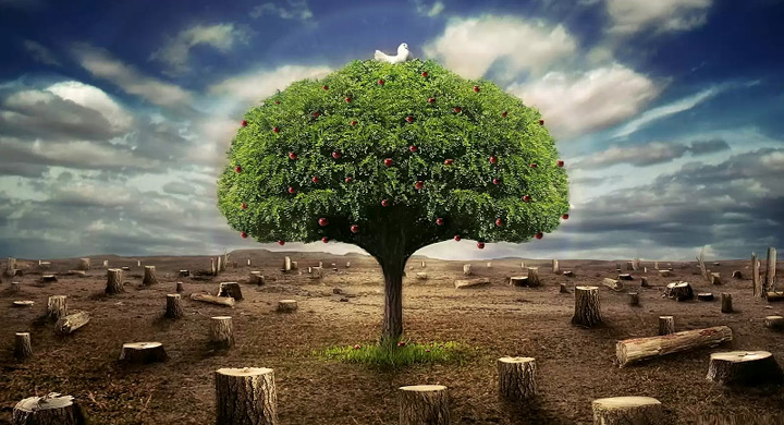 Que es la ecologia social