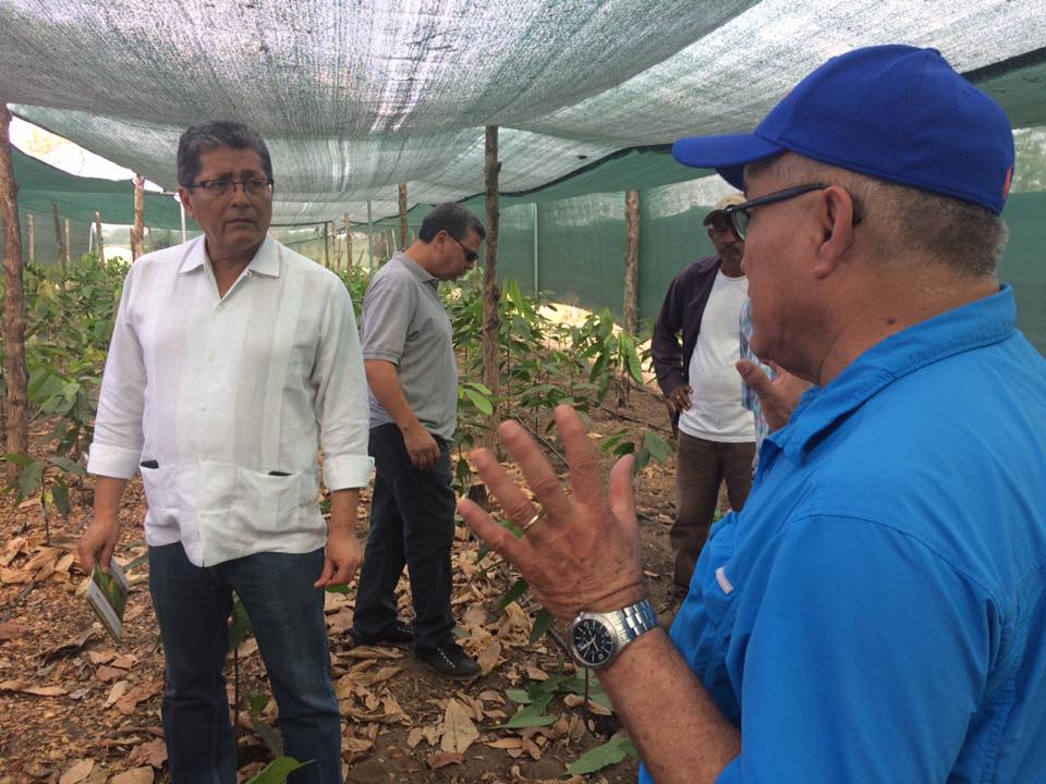 17554247 644729575732117 8348370417549070331 n 1