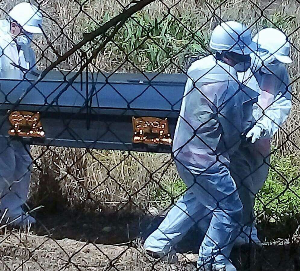 WhatsApp Image 2017 09 08 at 11.30.35 AM