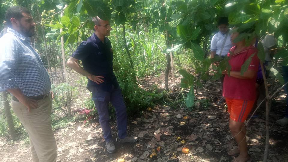 Visita caritas española 6