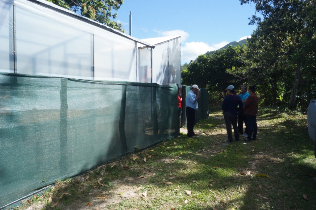 cacao san pedro nonualco 21