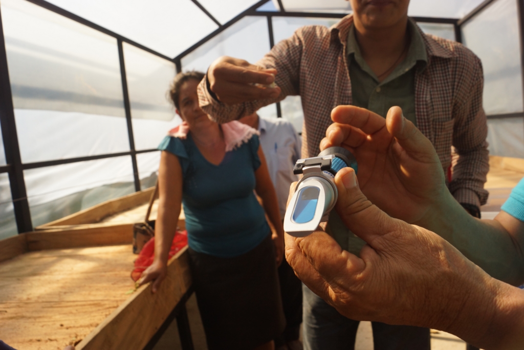 cacao san pedro nonualco 69