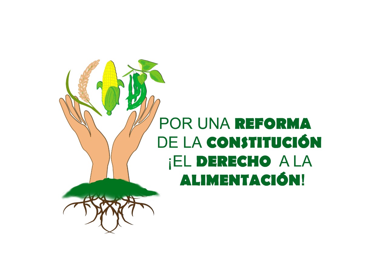 logo y mas campaña alimentos 3