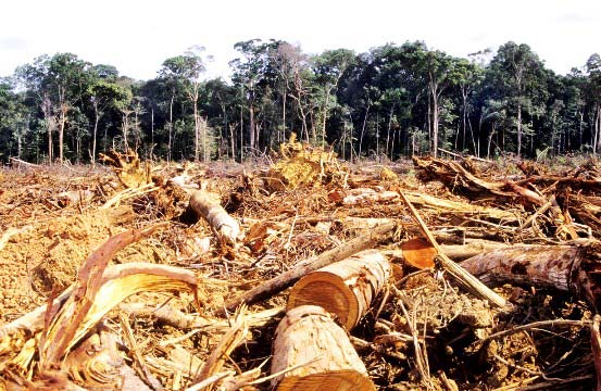 problemas ambientales el salvador